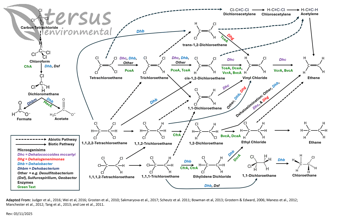 cVOC Pathways watermark